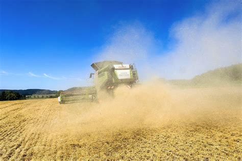 Bauern Ernten Mehr Getreide Sorge Um Abverkauf Der Ernte Blick Sachsen