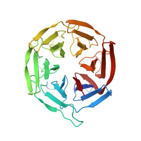 Rcsb Pdb Vpj Crystal Structure Of The Kelch Domain Of Human Klhl