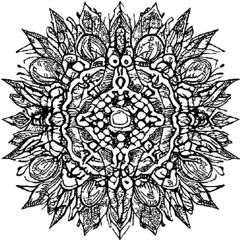 Coloring Pages Page 14 Of 1756 Creative Fabrica