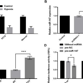 Hypoxia Induces Cell Injury In Pc Cells Hypoxia Induces Hypoxia