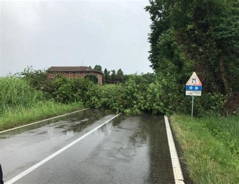 Vento E Grandine Danni E Disagi Tra Reggio E La Bassa