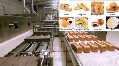 Commercial Loaf Toast French Baguette Dinner Roll Making Machine