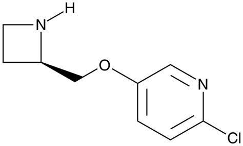 Abt Hydrochloride Cas Cayman Chemical Biomol De