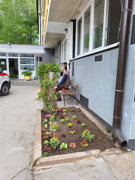 Foto Uposlenici Doma Zdravlja Travnik Zasadili Cvije E U Krugu Ustanove