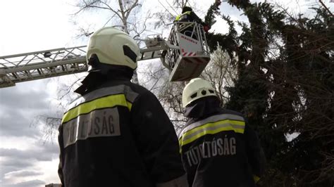 Folyamatosan Dolgoznak A T Zolt K A Viharos Sz L Okozta K Rok Miatt