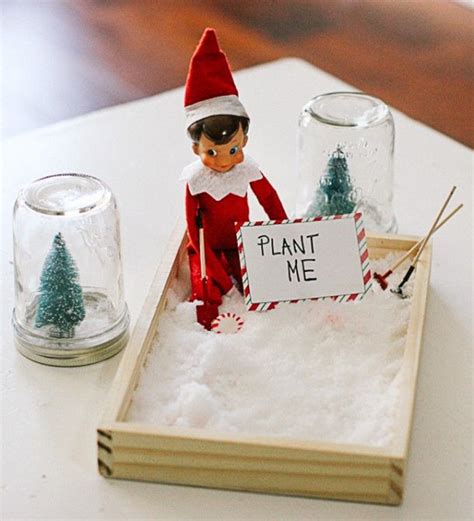 Help Your Little One Grow Candy Canes This Year Elf On The Shelf Idea Awesome Elf On The