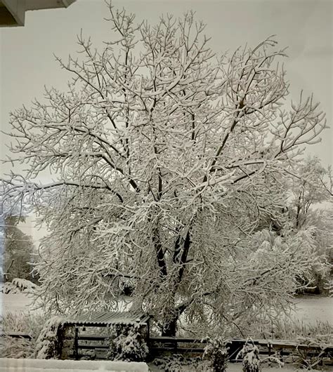 2 00PM Water Cooler 2 13 2023 Naked Capitalism