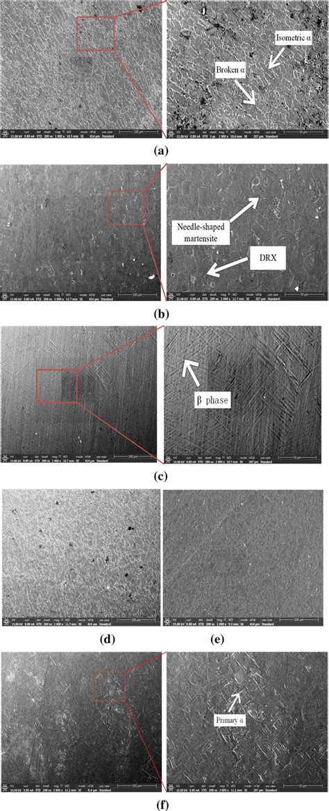 Sem Images Showing The Microstructure Of Different Parameters A Download Scientific Diagram