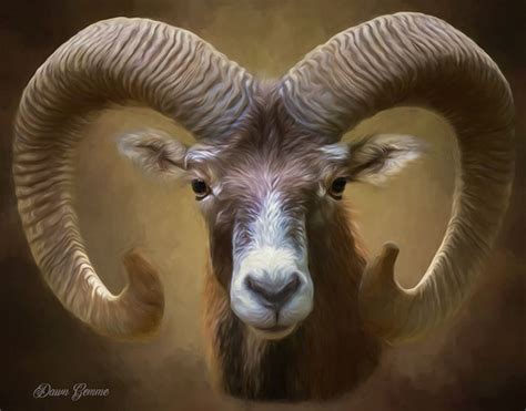 Bighorn Sheep Wildlife Painting Bighorn Sheep Portrait