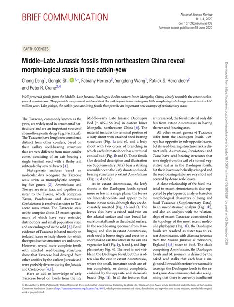 (PDF) Middle-Late Jurassic fossils from northeastern China reveal morphological stasis in the ...