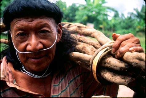 Peru S Uncontacted Tribes Threatened By Gas Project Survival