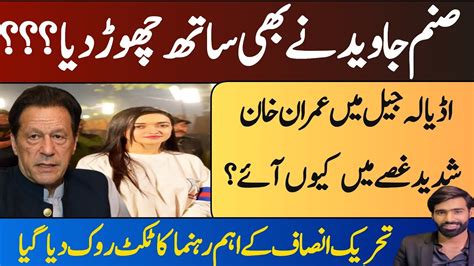 Sanam Javed Left Pti Imran Khan Pti Case Update Sultan Fiaz Youtube