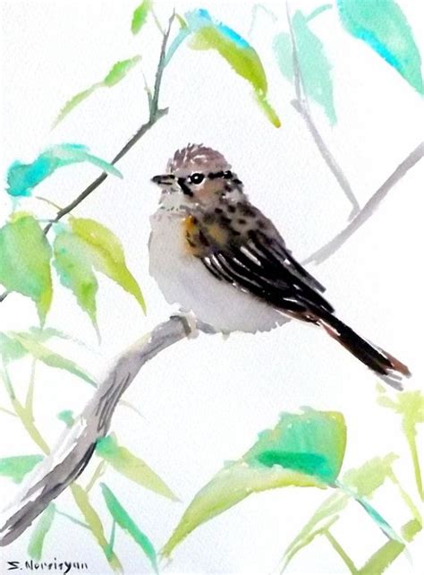 Original Watercolor Painting Of A Female Sparrow