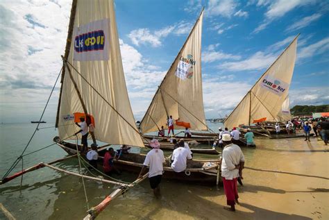 Quand Partir En Tanzanie Climat Affluence Et V Nements