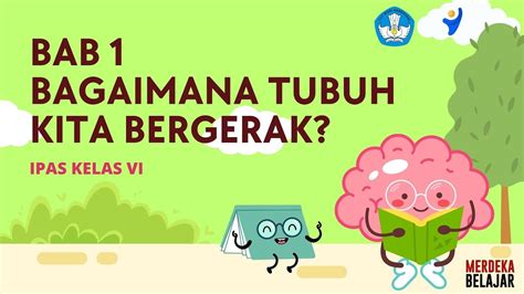 Bab Bagaimana Tubuh Bergerak Ipas Kelas Vi Youtube