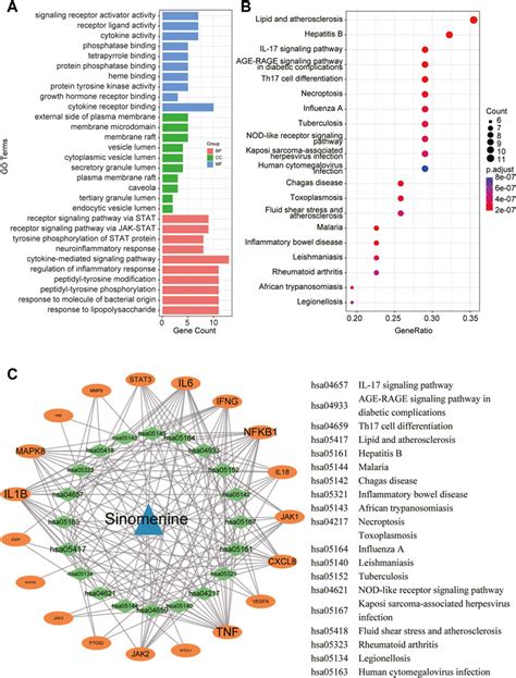 Frontiers Network Pharmacology Based Approach To Explore The