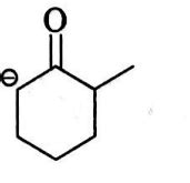 The enolate ion that reacts with - Tardigrade