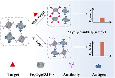 Magnetic Relaxation Switching Assay Based On Three Dimensional Assembly