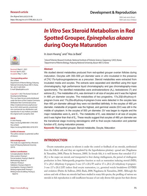 PDF In Vitro Sex Steroid Metabolism In Red Spotted Grouper