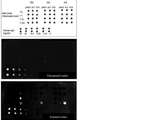 A Simple Method For Detection Of Multiple Chemical Specific Iggs In