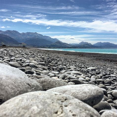 Kaikoura Beach Tours - Book Now | Expedia