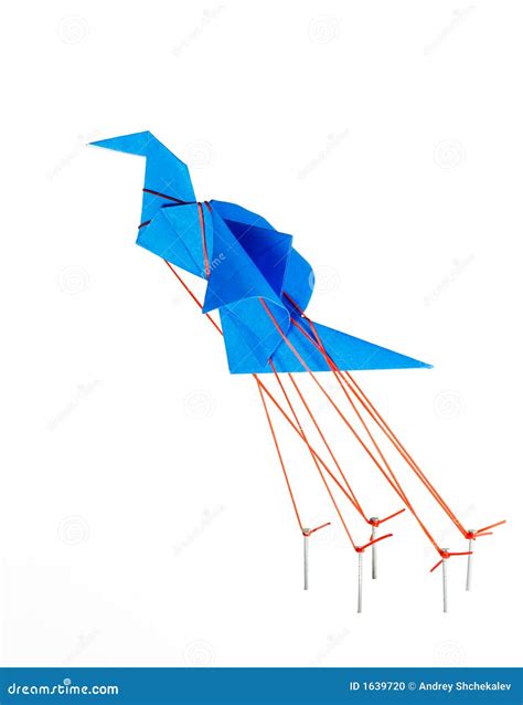 bird  freedom stock photo image  heaven liberty