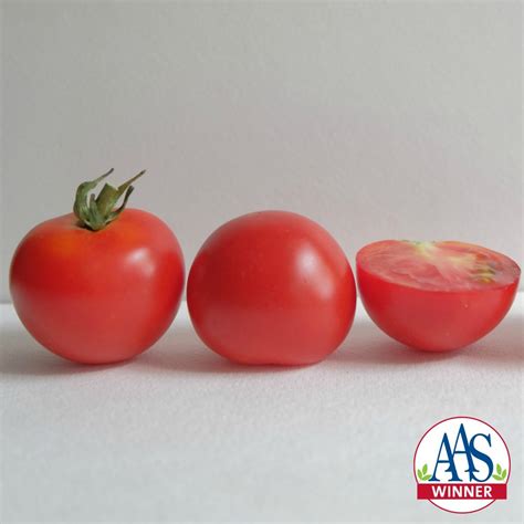 Varieties Earn Aas Winner Designation All America Selections