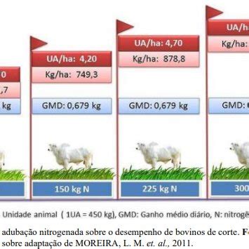 PDF Nutrição e Suplementação Mineral de Bovinos de Corte