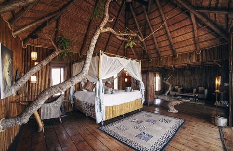 19 Kruger National Park Safari Packages and Lodges