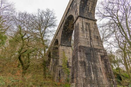 Luxulyan Valley Woodland Walks Kilden Mor