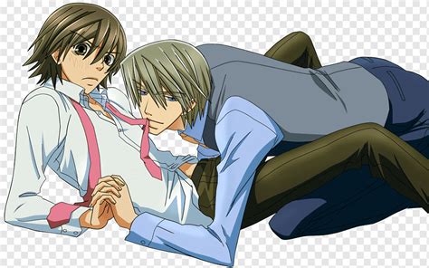 Junjo Romantica Pure Romanze Akihiko Usami Hybrid Kind Misaki