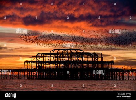 The ruins of the West Pier, Brighton Stock Photo - Alamy