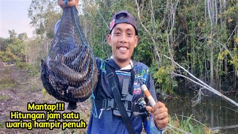 Casting Ikan Gabus Di Kanal Yang Mulai Kekeringan Rawa Dangkal