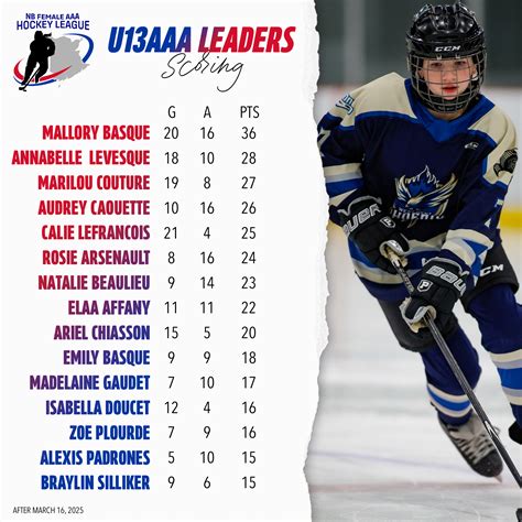 New Brunswick Female AAA Hockey League