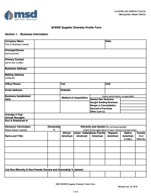 Fillable Online Msdlouky M Wbe Supplier Diversity Profile Form