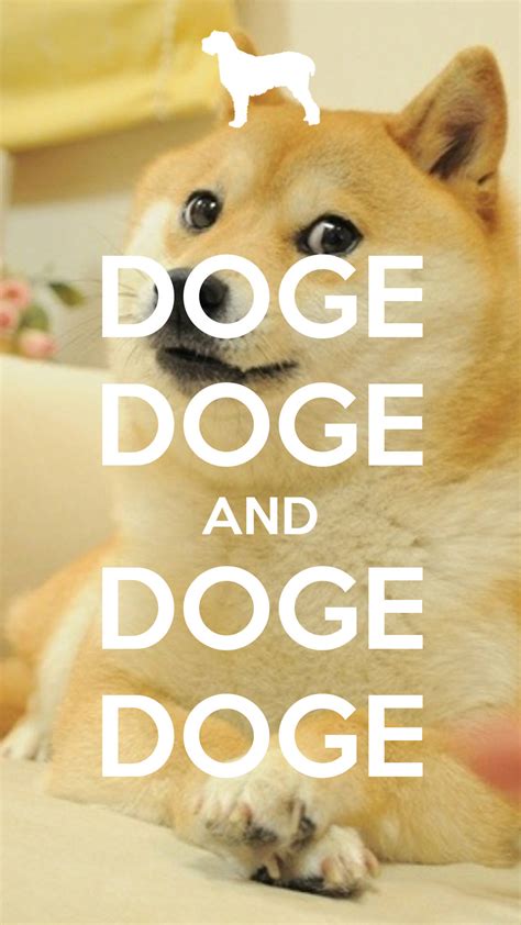 [100+] Doge Meme Wallpapers | Wallpapers.com