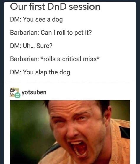 Dungeons Dragons Memes That Are Almost Painfully Relatable