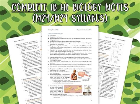 IB HL Biology COMPLETE Notes M24 N24 Syllabus DIGITAL Hobbies