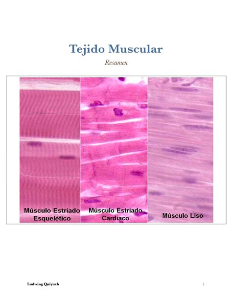 Pptx Histologia Del Musculo Estriado Cardiaco Y Liso Dokumen Tips Hot