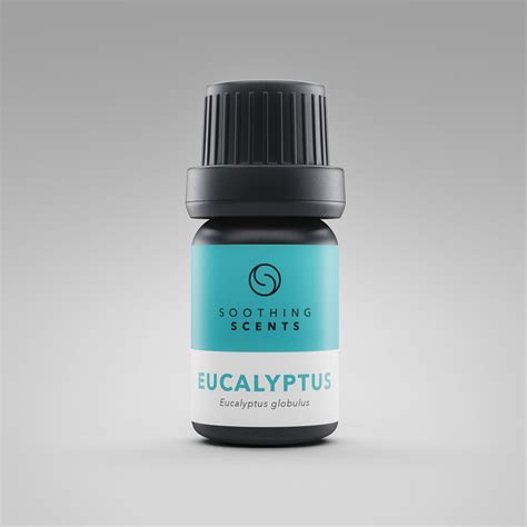 Eucalyptus oil [5ml] - Soothing Scents