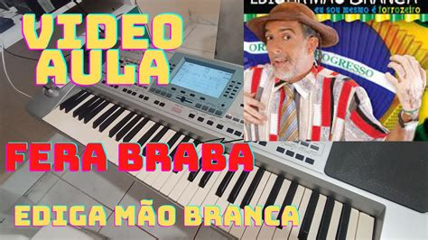 vídeo aula da mussica fera braba ediga mão branca vídeo aula no