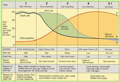 Demographic Transition Model - AP Human Geography