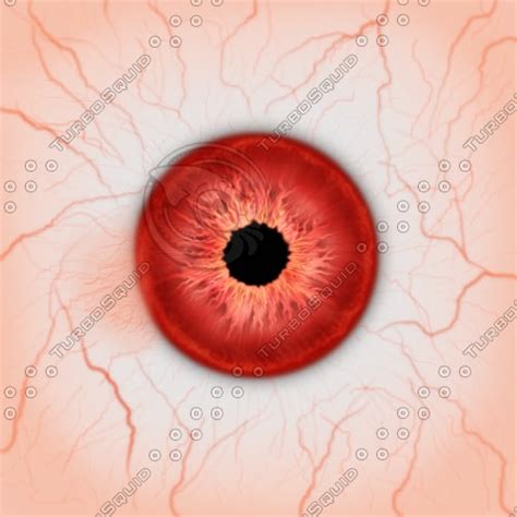 Texture Png Eye Texture Eyeball