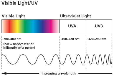 A Better Understanding About The Suns UV Rays Vitamin D In Relation