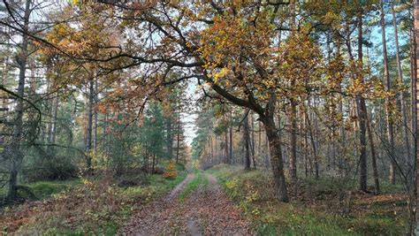 Wahlstedt Reisef Hrer Reisetipps Outdooractive