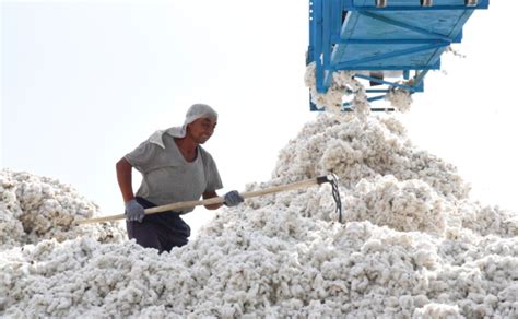 UZBEK COTTON HARVEST 2022: NO SYSTEMATIC FORCED LABOR OF PICKERS BUT ...