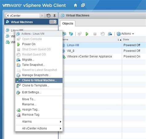 Clone Virtual Machine VMware ESXi