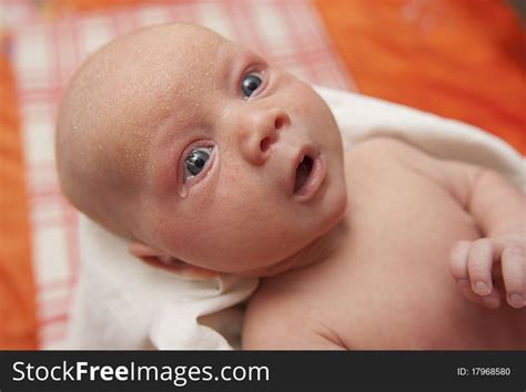 2 Newborn Baby Boy Amazed Look Free Stock Photos Stockfreeimages