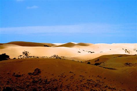 desertification examples Archives - Science HeathenScience Heathen