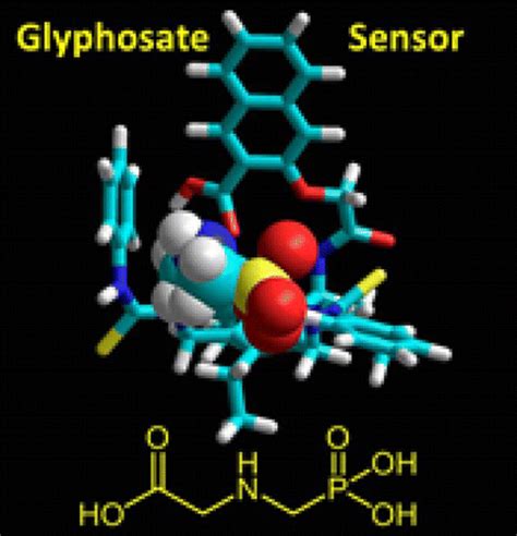 阴离子分子内指示剂位移测定：草甘膦超分子传感器journal Of The American Chemical Society X Mol